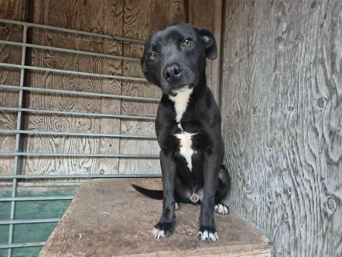 Chiaramonte, gli occhi di Fred invitano a riflettere