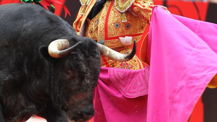 M&aacute;laga, la morte dietro i cancelli: Ricardo Ortiz ucciso da un toro alla vigilia della Corrida Picassiana