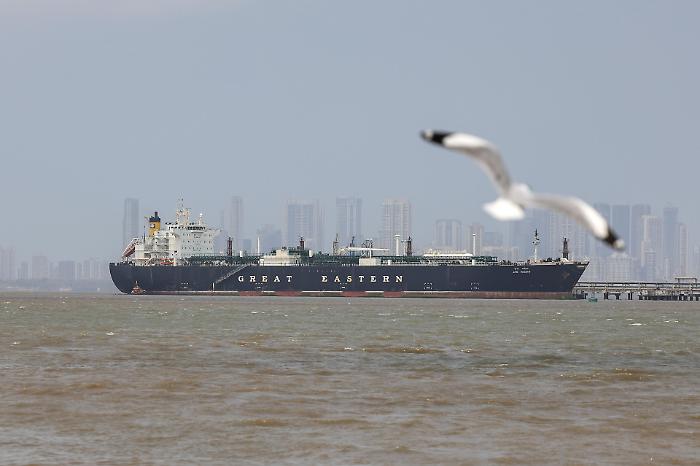 Il Pakistan disinnesca l'escalation: ipotesi sospensione dell'ultimatum Usa e riapertura di Hormuz per due settimane