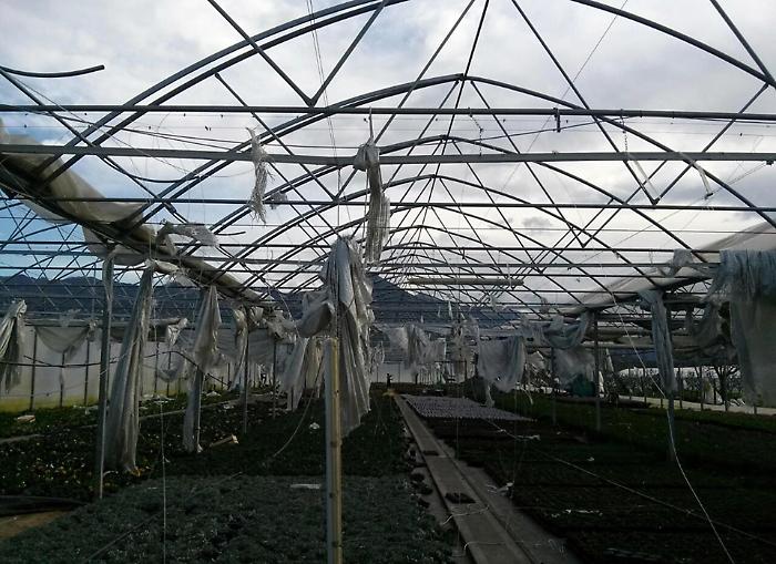 Stangata sui costi agricoli: plastica e forniture alle stelle