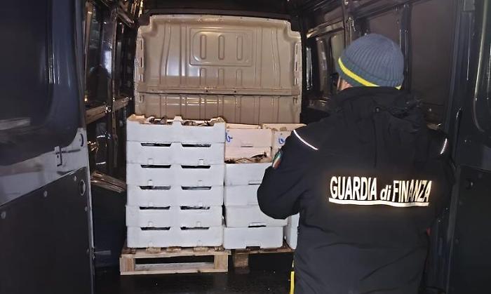 Sequestrati 400 kg di pesce non tracciato: tre sanzioni e cibo devoluto in beneficenza