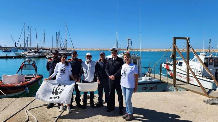 Pozzallo, salvata e liberata tartaruga Caretta caretta