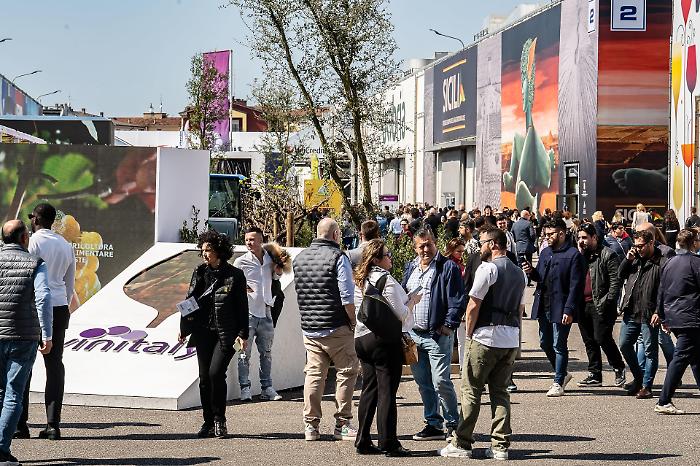 Sicilia al Vinitaly 2026, l&rsquo;Isola si presenta con 164 cantine e una sfida pi&ugrave; ambiziosa del semplice export
