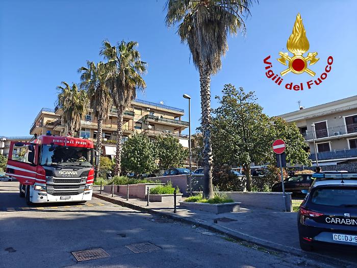 La casa va fuoco (fortunatamente) mentre i proprietari sono fuori, ma il gatto di famiglia muore intossicato 