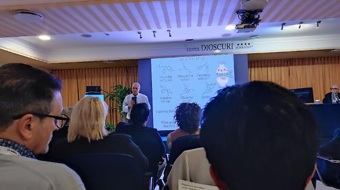 Malattie neurologiche, la rivoluzione parte da Agrigento: "Basta compartimenti stagni tra medici e ospedali"