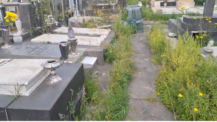 Cimitero di Catania, degrado e mancanza di sicurezza