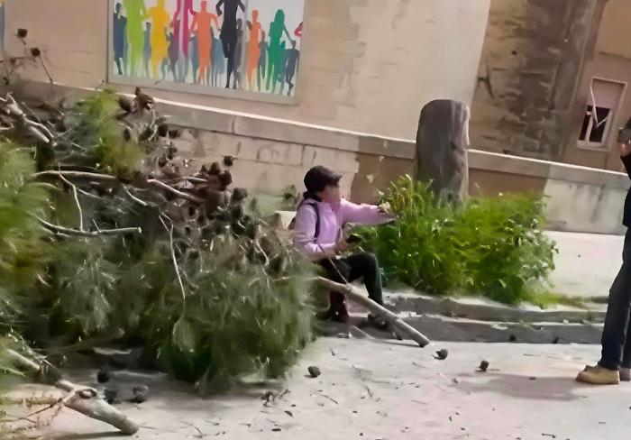 Ragusa, gli alberi e la mattinata movimentata nella piazzetta di via Benedetto Croce. Cinque stelle a corrente alternata