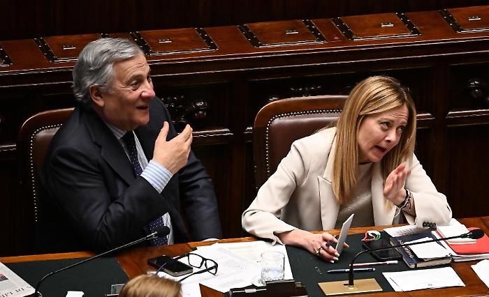 meloni tajani