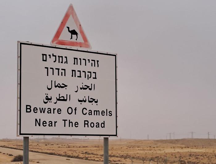 Missili, radar e milioni: cosa perde Roma sfidando Tel Aviv