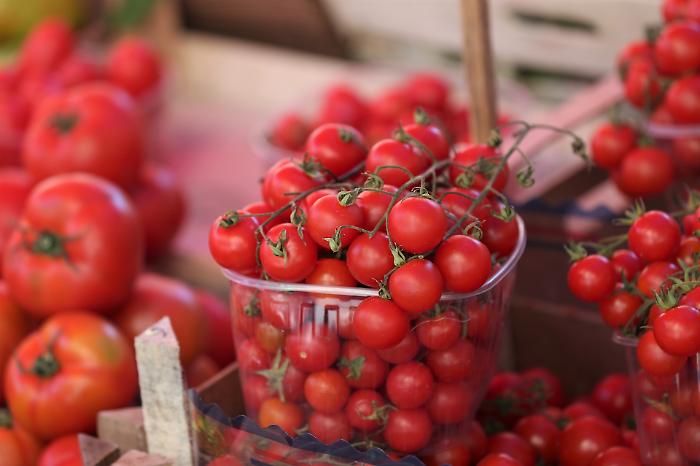 Aumento del 6,5% per il pomodoro di Pachino e poi scatta lo sciopero dei trasporti: "Siamo in ginocchio"