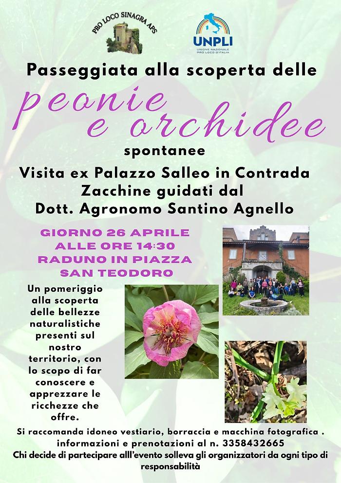 Alla scoperta di peonie e orchidee a Pizzo Corvo &mdash; escursione guidata