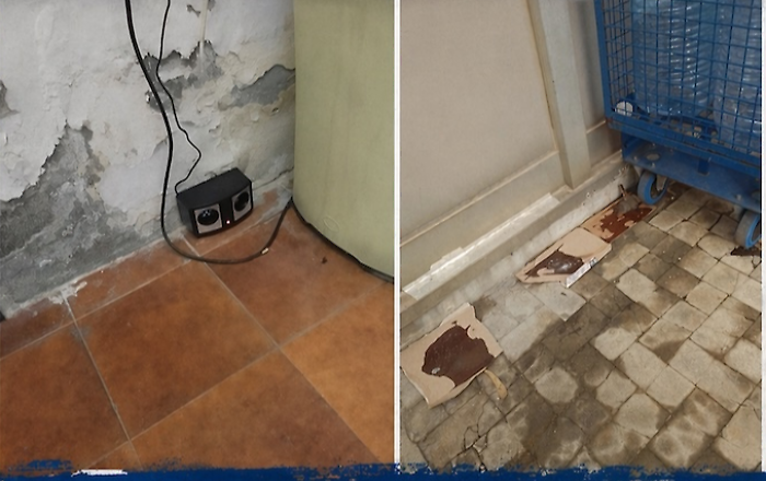 Allarme igienico-sanitario alla guardiola del centro smistamento poste di Catania: ratti, carcasse e odori nauseabondi rendono i locali invivibili