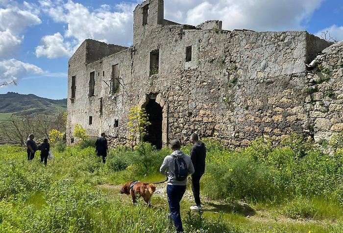 Tradizioni siciliane e street food d'autore: dal 24 al 26 aprile torna Vini & Flora