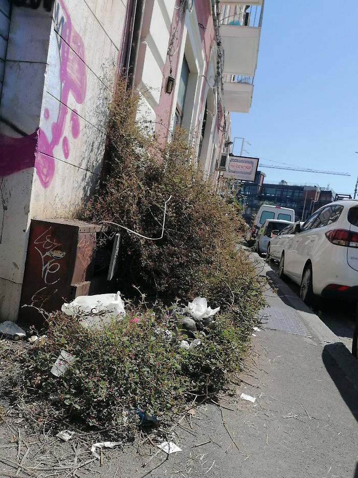 Catania via D'Amico degrado