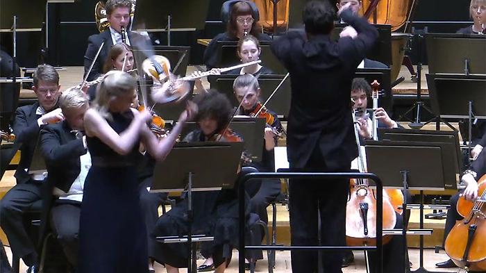 Bacchetta troppo libera, il direttore manda a terra un violino da un milione: il video