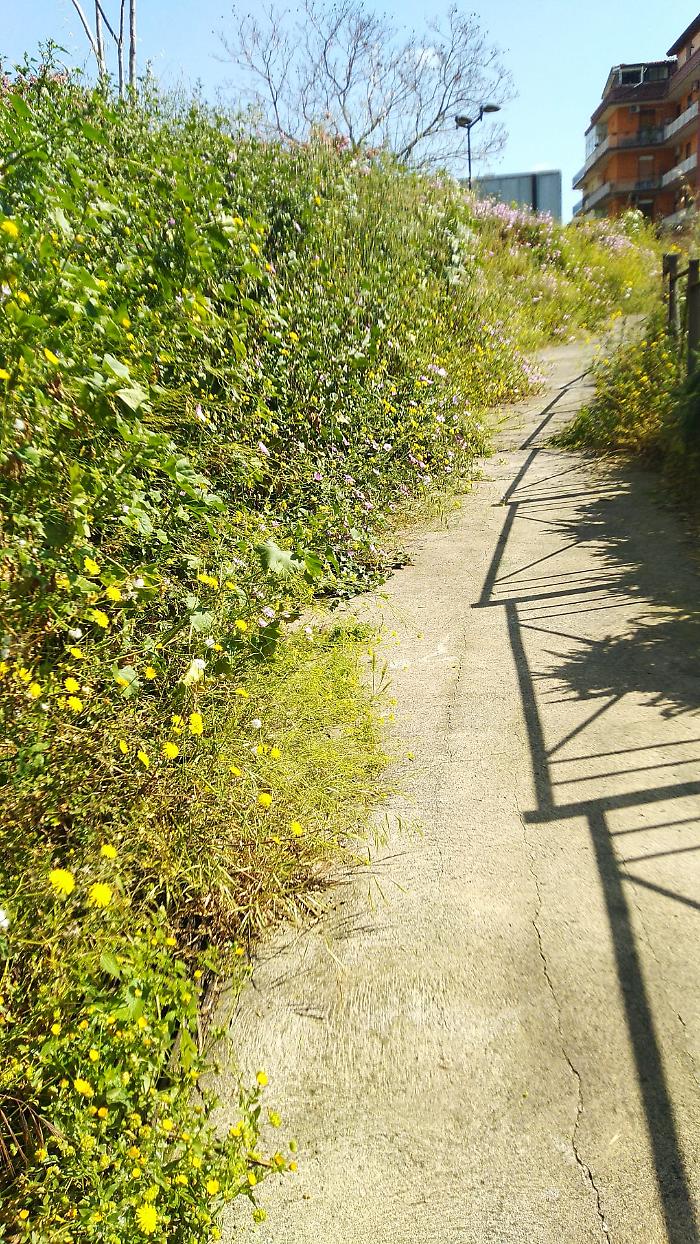 Degrado al parco Gemmellaro