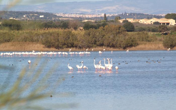 Ispica, entro la settimana iniziano i lavori di ripristino della Sp 67 nel tratto di Cirica