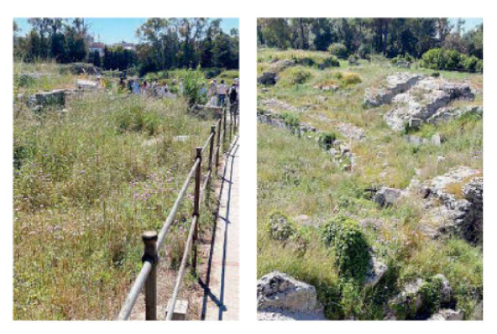 Quando la natura soffoca la storia