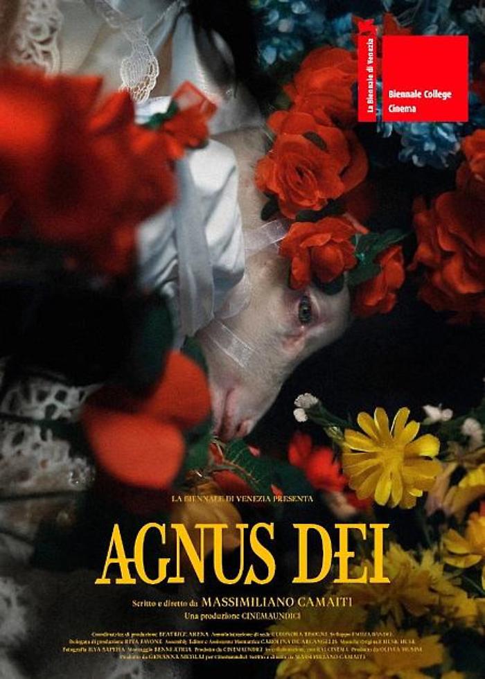 Agnus Dei: il silenzio del chiostro e la nascita del pallio