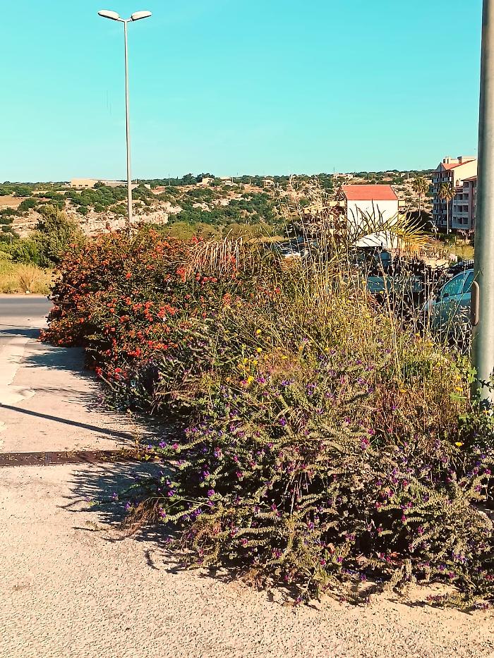 "Scicli merita pi&ugrave; cure": l'ex assessore Scimonello all'attacco