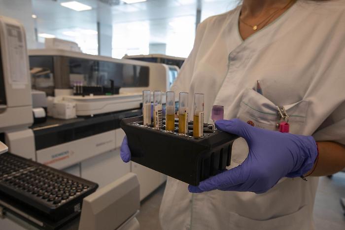 Ritirato lo studio sulla terapia mirata per il cancro al pancreas: c'&egrave; un conflitto d'interess con Vega Oncotargets