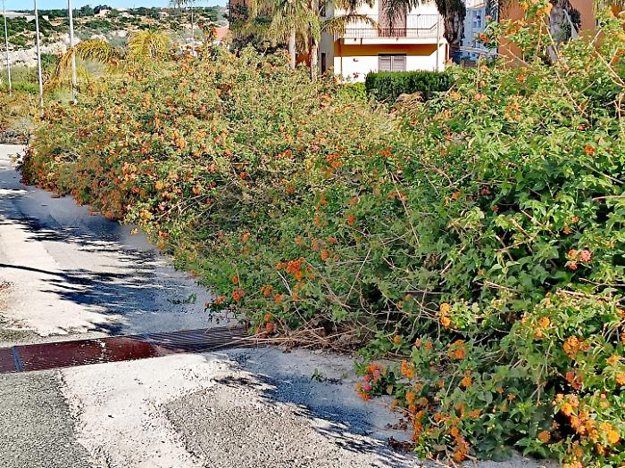 Scicli, Scimonello: "Interrotti gli interventi di scerbatura e pulizia strade"