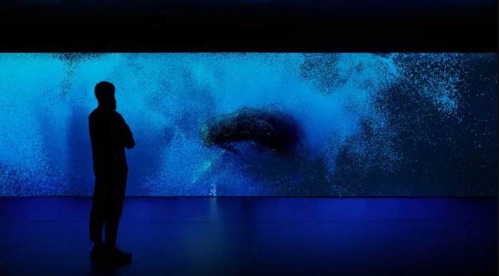 Venezia ascolta il mare: alla Biennale la mostra che trasforma balene, plancton e alberi in una sola grande voce