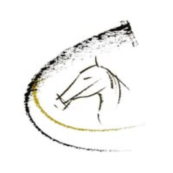 logo manifestazione