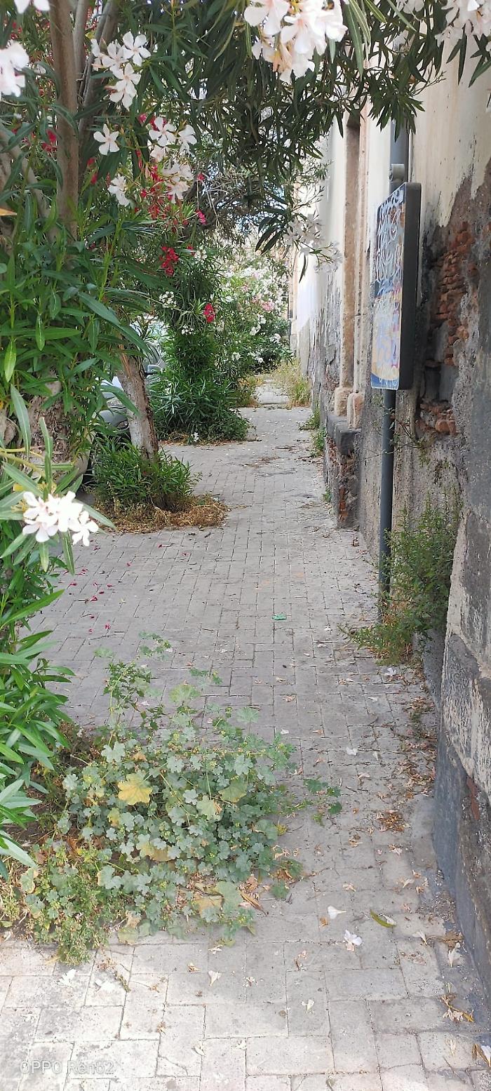 Via Teatro Greco, Catania