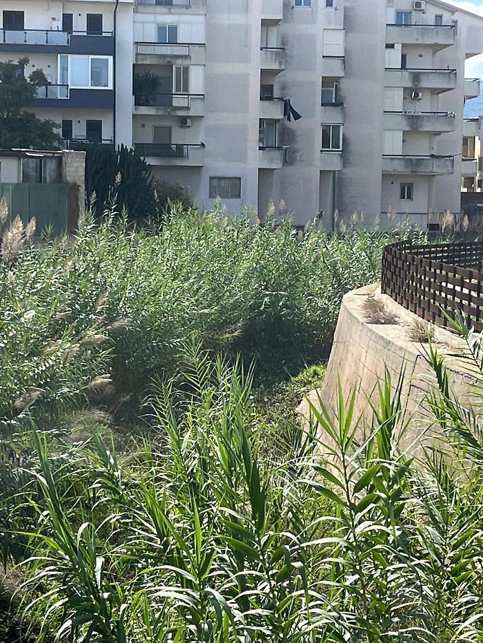 Comiso e il torrente Ippari da ripulire