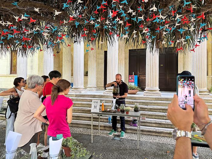 Orto in vetro: costruisci il tuo terrario all'Orto Botanico di Catania