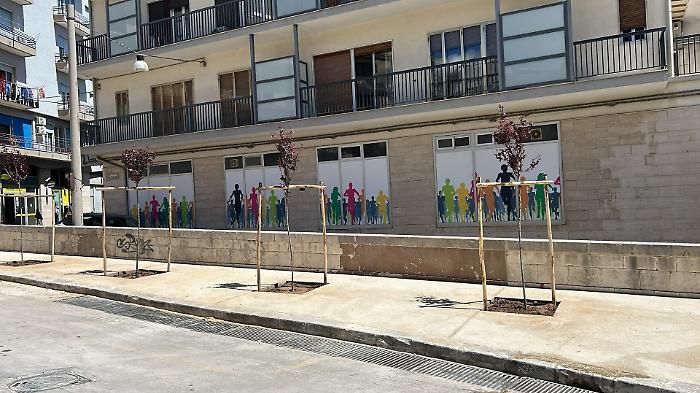 Ragusa, piantumati nuovi alberi in via Benedetto Croce