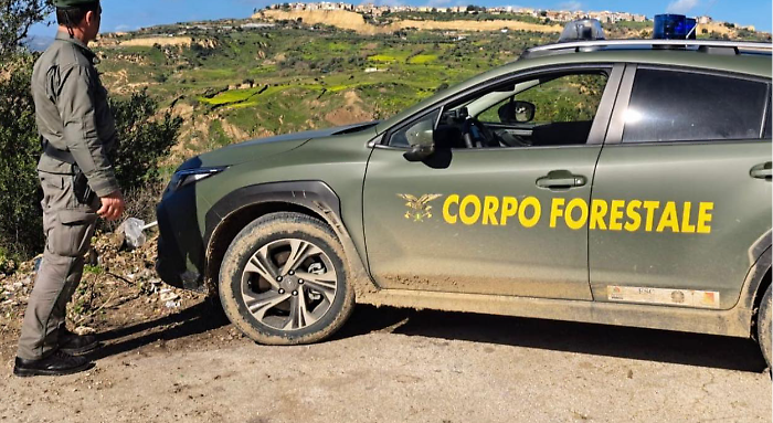 Blitz ambientale a Partinico: sequestrato impianto di recupero rifiuti e scoperta discarica abusiva di 8.000 metri cubi
