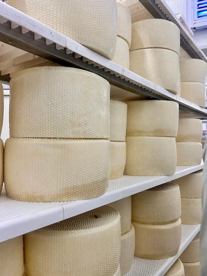 Dalla ricotta alla cagliata, ode al formaggio alla Sagra del Quisquina Cheese Festival il 30 e il 31 maggio