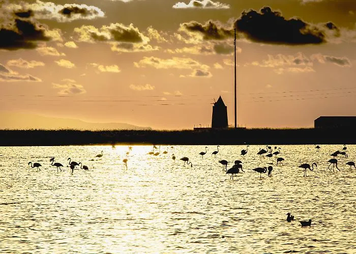 Trapani, le Saline sommerse dal mare: allarme di WWF. &laquo;Danni enormi, mai vista un&rsquo;acqua cos&igrave; alta&raquo;