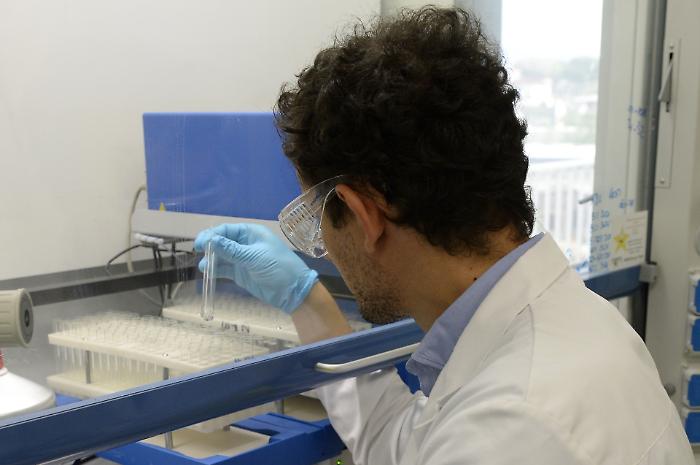 Ebola, in arrivo ordinanza in Italia e Meloni solleva il tema della gestione delle frontiere