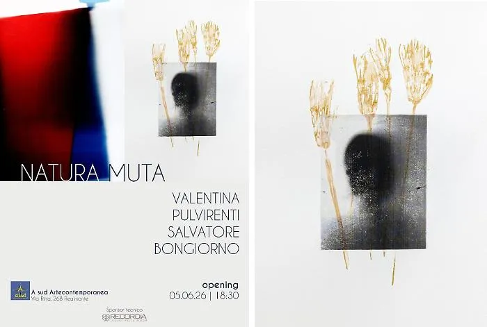 "Natura Muta", la fotografia senza fotocamera e le memorie botaniche 