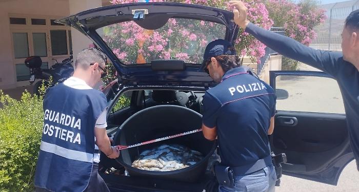 Blitz sulla filiera ittica tra Licata e Agrigento: maxi sequestro di pescato illegale e sanzioni per migliaia di euro