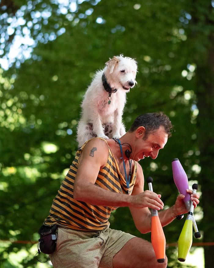 &ldquo;Cirque&rdquo;, ultimo atto a Zō: Unnico e Ugo, la complicit&agrave; fra Andrea D'Amico e il suo cane