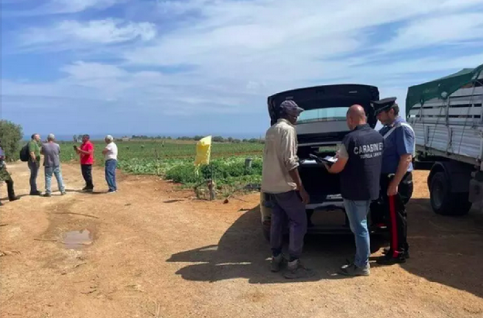 Lotta al caporalato, 18 aziende agricole irregolari nel Palermitano