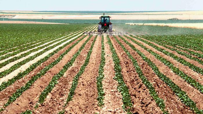 Agricoltura, Lollobrigida: &laquo;Sistema italiano tra i pi&ugrave; forti d&rsquo;Europa&raquo;