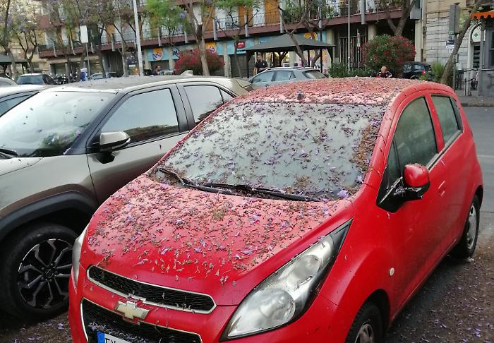 Piazza Cavour, il salotto del Borgo soffocato da rifiuti e incivilt&agrave;