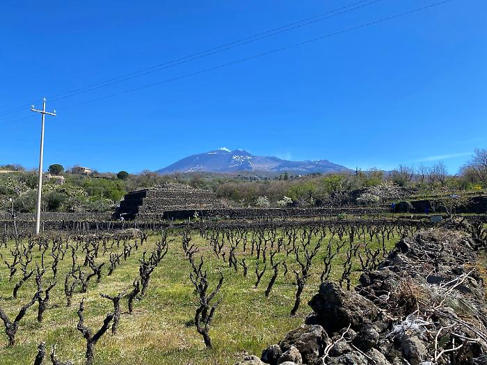 &ldquo;Vulcanica&rdquo; , i produttori di vino del versante Sud-Ovest dell&rsquo;Etna si riuniscono a Biancavilla