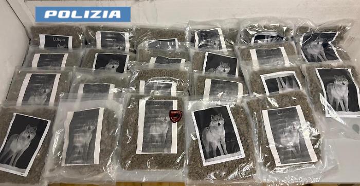 Vaccarizzo: cittadini segnalano movimenti sospetti, sequestrati 20 kg di marijuana