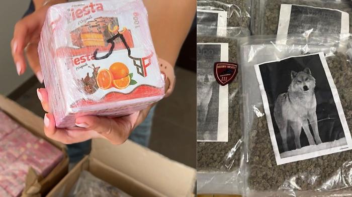 I loghi della droga per identificare la qualit&agrave; stupefacente: dal "Buffalo Plein Hash" alla marijuana del capo-branco
