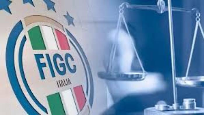Campi in erba sintetica ricettacolo di batteri pericolosi e la Figc ordina la sanificazione