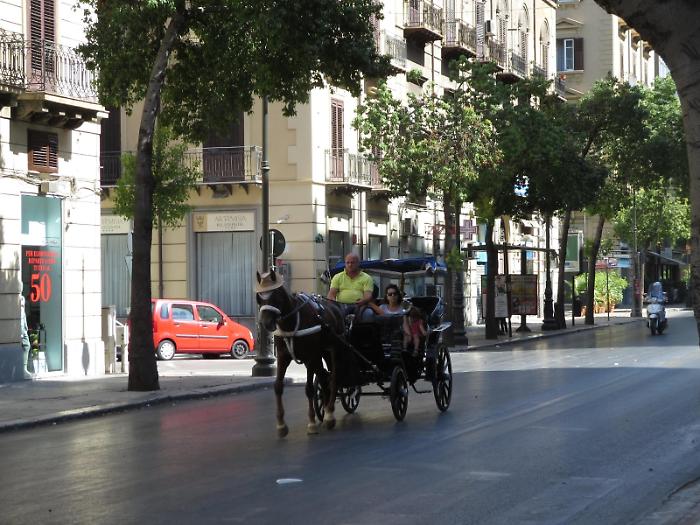 Palermo, carrozze con cavalli o elettriche: al Comune &egrave; guerra per il regolamento sugli &ldquo;gnuri&rdquo;