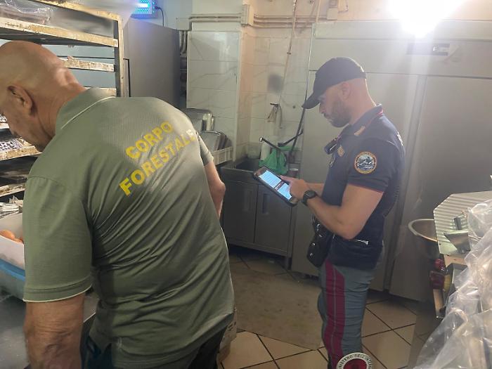 La Polizia in un panificio a Lineri: 150 chili di alimenti sequestrati e multe per violazioni igieniche
