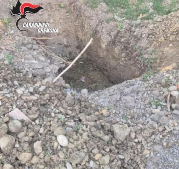 Uccide i cani a fucilate e li seppellisce in giardino: "Abbaiavano troppo"