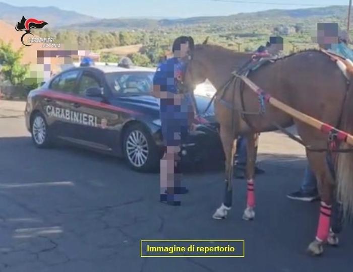 Corsa clandestina di cavalli nella notte: maxi blitz dei Carabinieri a Nicolosi 
